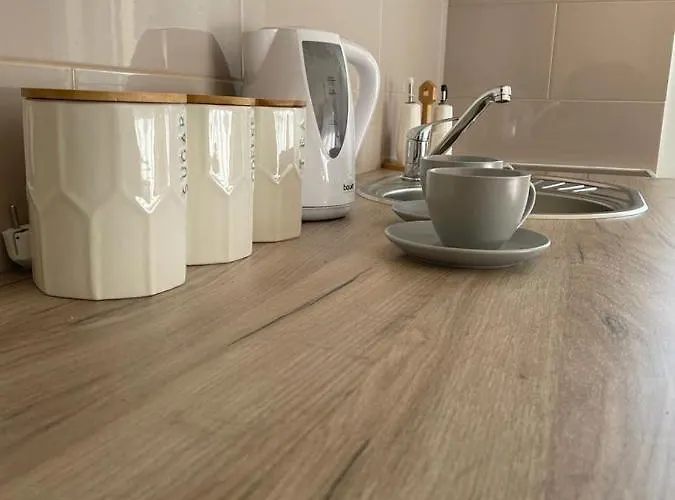 Apartman Nice * Vrnjačka Banja